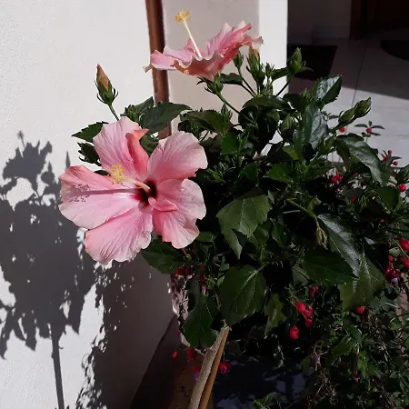 Apartment Le Balcon