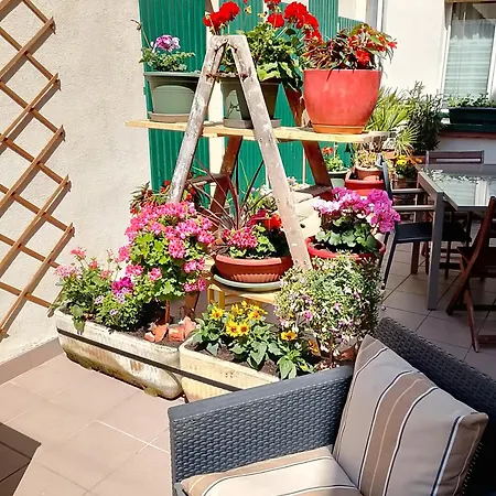 Apartment Le Balcon Sélestat